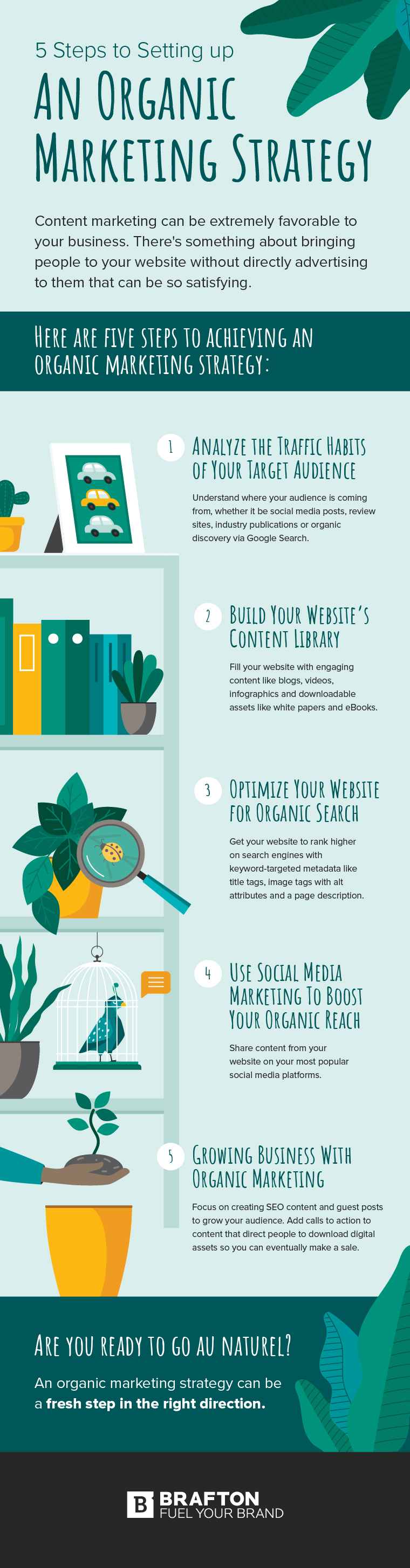 5 steps to setting up an organic marketing strategy infographic