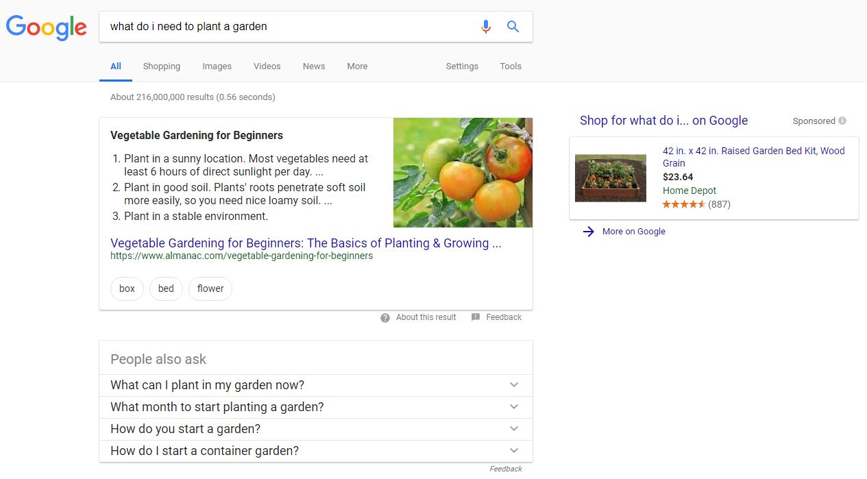 organic marketing: google search